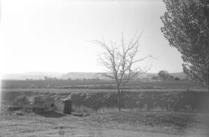 A black and white film photo of some trees and fields in the country.