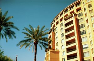 An upward shot of a building with a palm tree in front of it, shot on expired film.