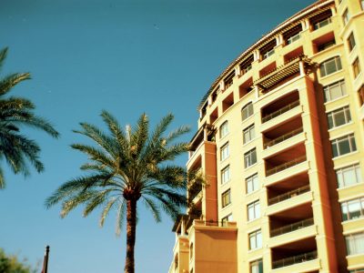 An upward shot of a building with a palm tree in front of it, shot on expired film.
