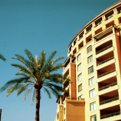 An upward shot of a building with a palm tree in front of it, shot on expired film.