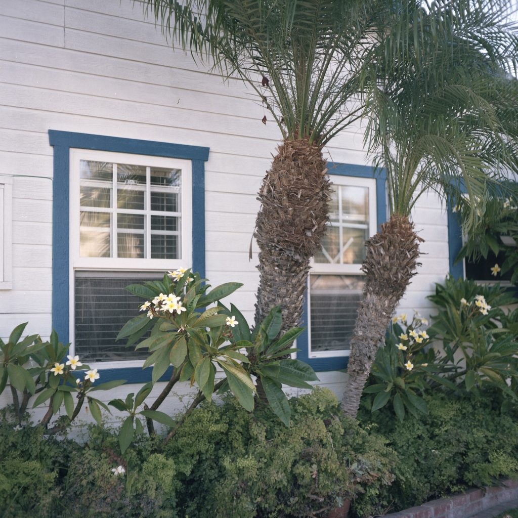 A color photo of a white house with blue window frames and green plants in the foreground.